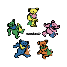 Load image into Gallery viewer, Dancing Bong Bear Moodmat